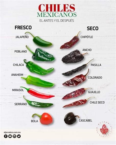 chile vs chili new mexico
